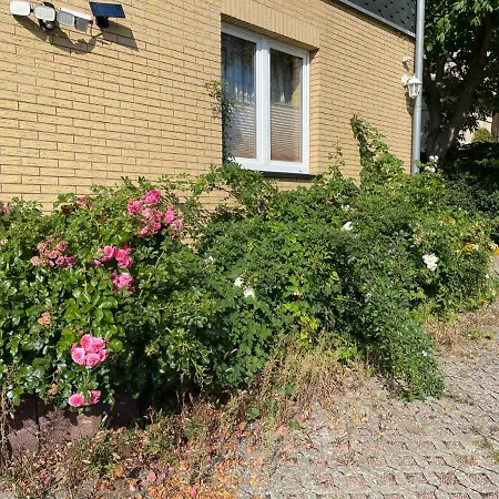 Old Huesung - Muz325 By Interhome Appartement