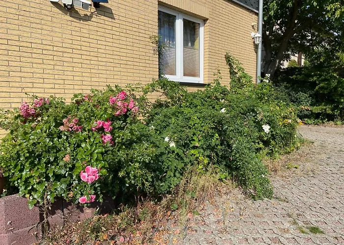 Old Huesung - Muz325 By Interhome アパート